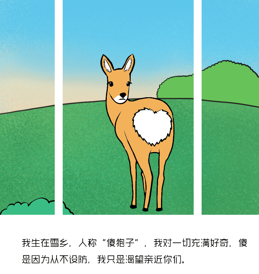 寻找记忆中的《动物世界》, 原来就在这里!