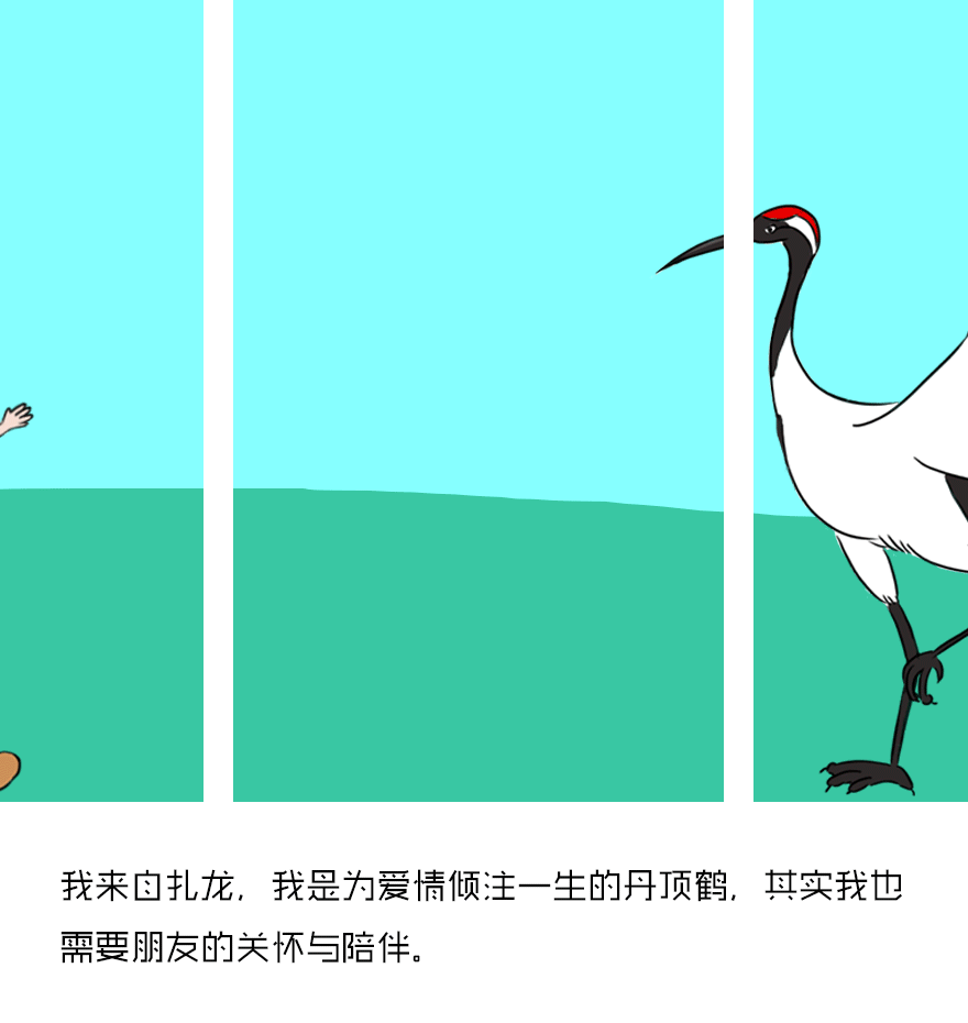 而在仙鹤的内心世界里 也不仅仅只有爱情