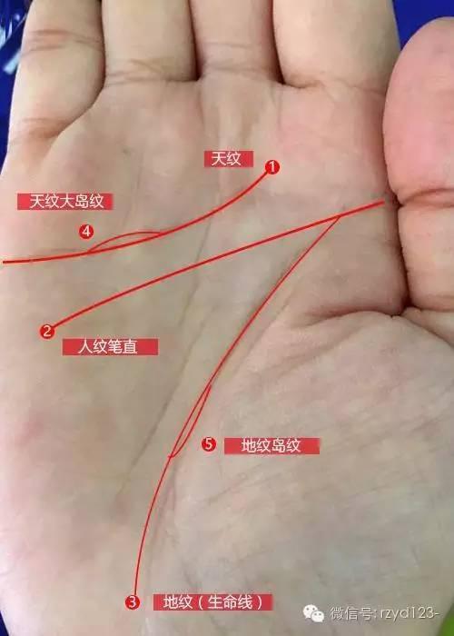 的,因为选择余地大,金星丘桃花不缺,自己就挑花了眼,万幸她的人纹笔直