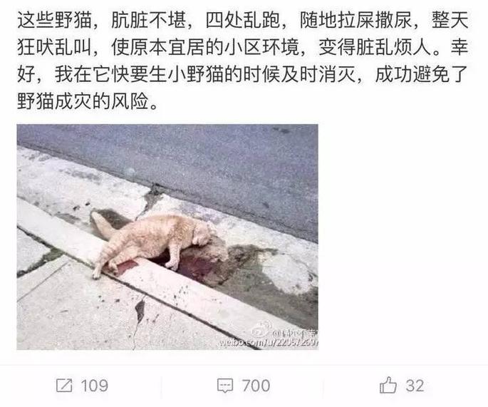 交大有人毒杀流浪猫,上海这是怎么了?