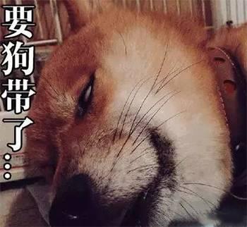 【搞笑】同样是表情包,哈士奇你咋这么牛逼呐!