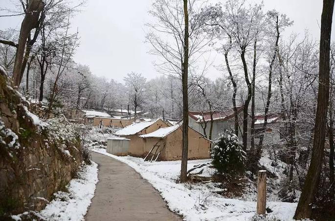 昨天,天水在线小编去下乡,突然大雪纷飞