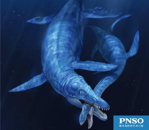  kronosaurus