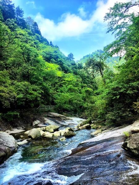 湖北咸宁通山县九宫山下有个叫金鸡谷的小景区,这里几乎是一个被人